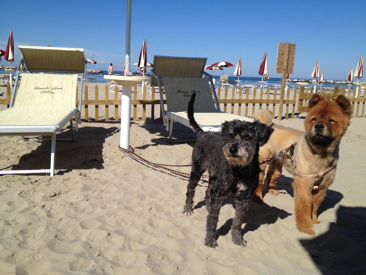 Delle Dune 3* Bellaria-Igea Marina